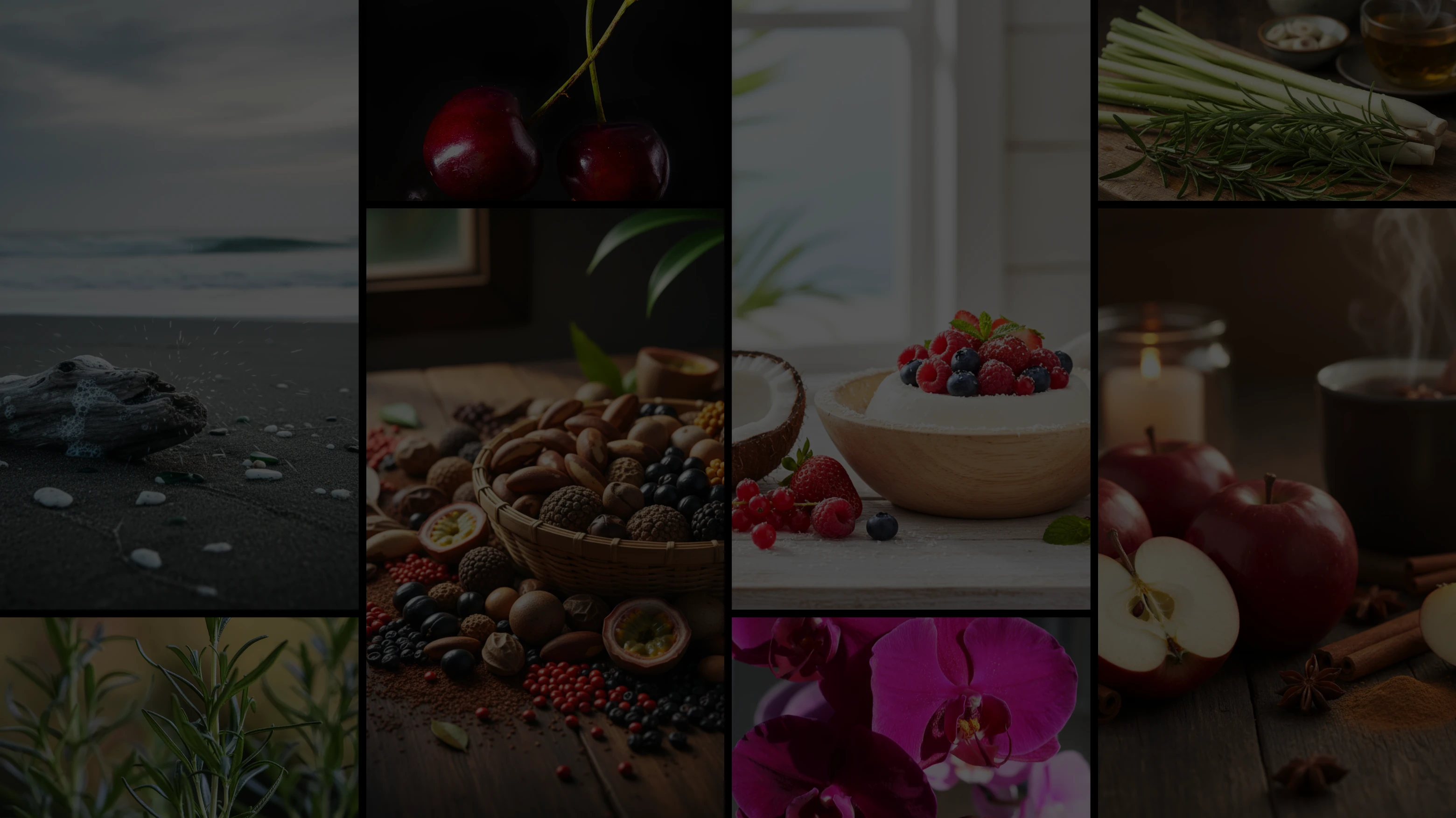 Fragrâncias Innovare